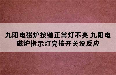 九阳电磁炉按键正常灯不亮 九阳电磁炉指示灯亮按开关没反应